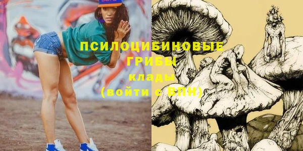 меф Дмитровск