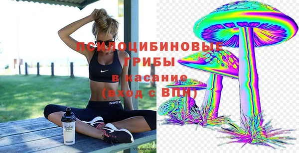 герыч Дмитриев