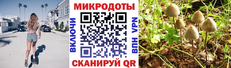 Галлюциногенные грибы прущие грибы Купить где Жуковка